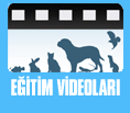 Eğitim Videoları Logo
